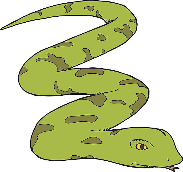 Cobra Snake Clipart at GetDrawings | Free download