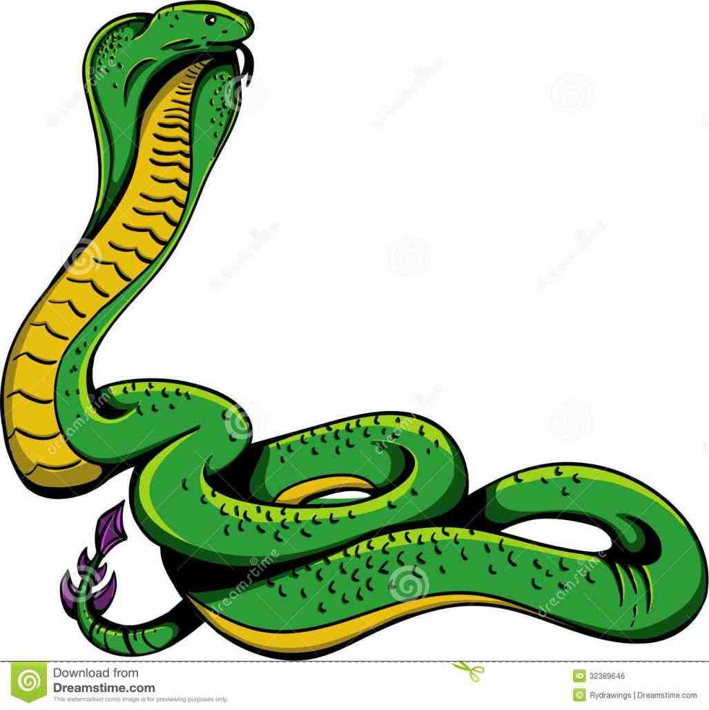 1027x1028 Striking Snake Clipart Snake Review