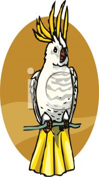 197x350 Clip Art Illustration Of A Cockatoo