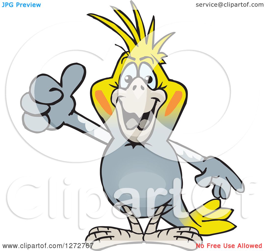 1080x1024 Clipart Of A Happy Cockatiel Bird Giving A Thumb Up