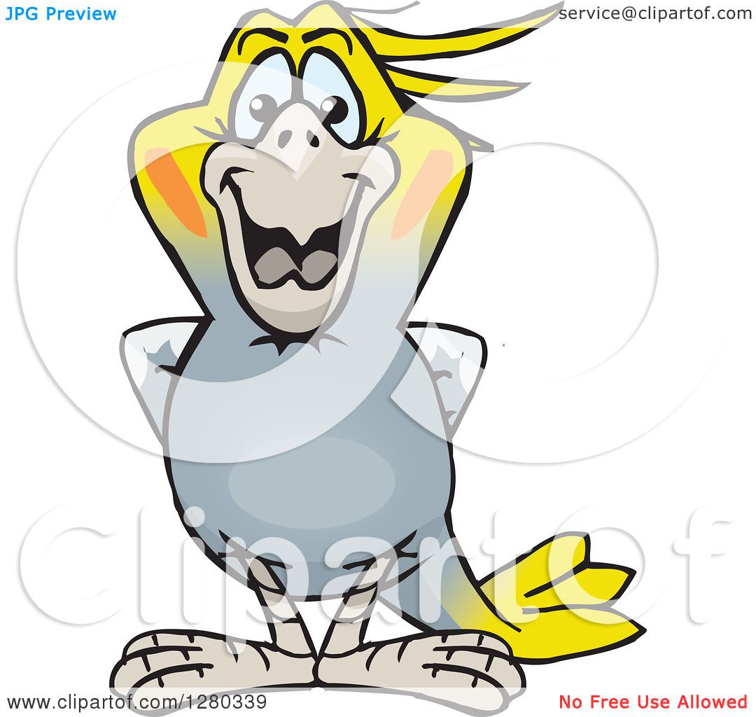 1080x1024 Clipart Of A Happy Cockatiel Bird Standing