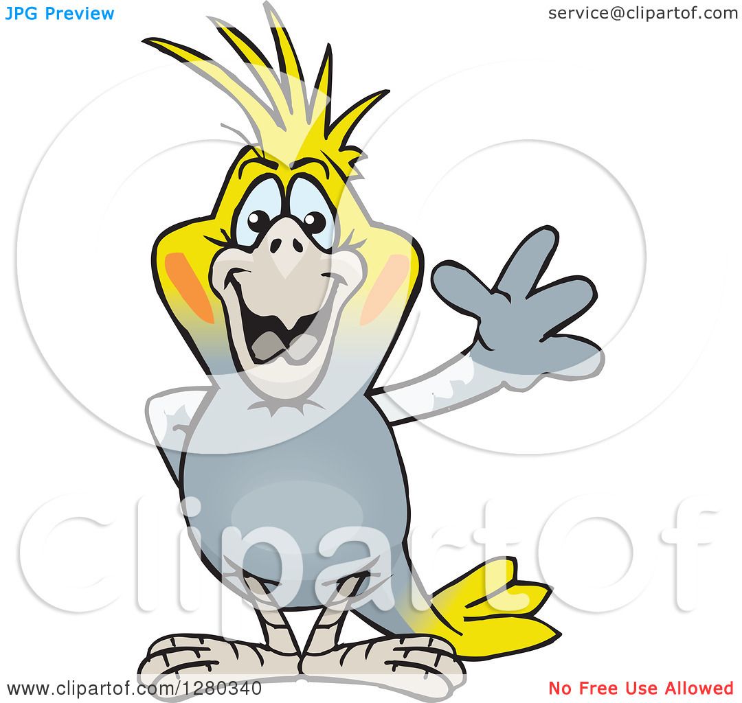 1080x1024 Clipart Of A Happy Cockatiel Bird Waving