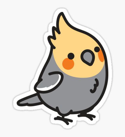 420x460 735 Best Cute3 Images On Animales, Cockatiel