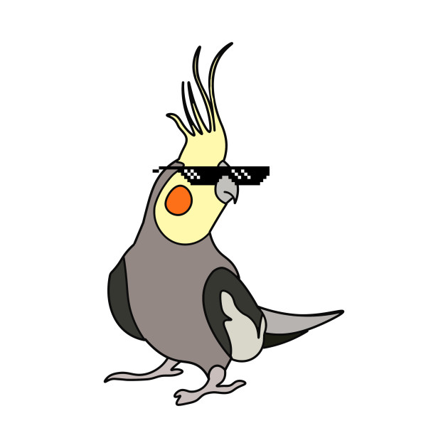 630x630 Cockatiel Thug Life Meme Funny