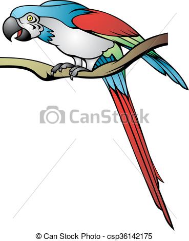 369x470 Maccaw Clip Art And Stock Illustrations. 45 Maccaw Eps