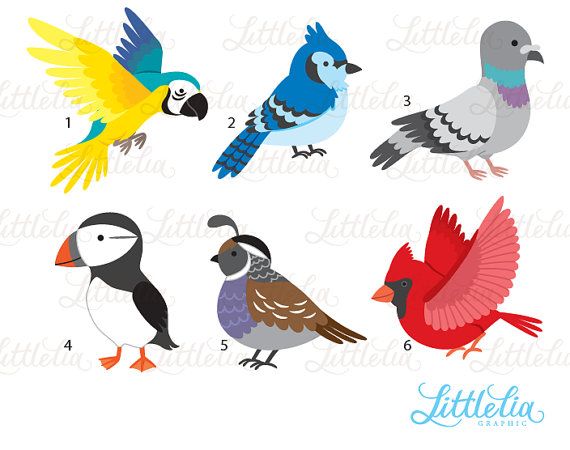 570x450 Bird 2 Clipart