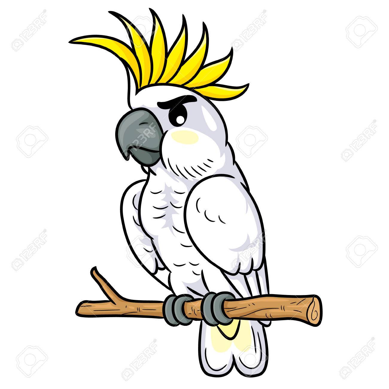 1300x1300 Cockatoo Cliparts Free Download Clip Art