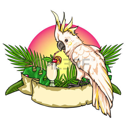 450x450 Exotix Clipart