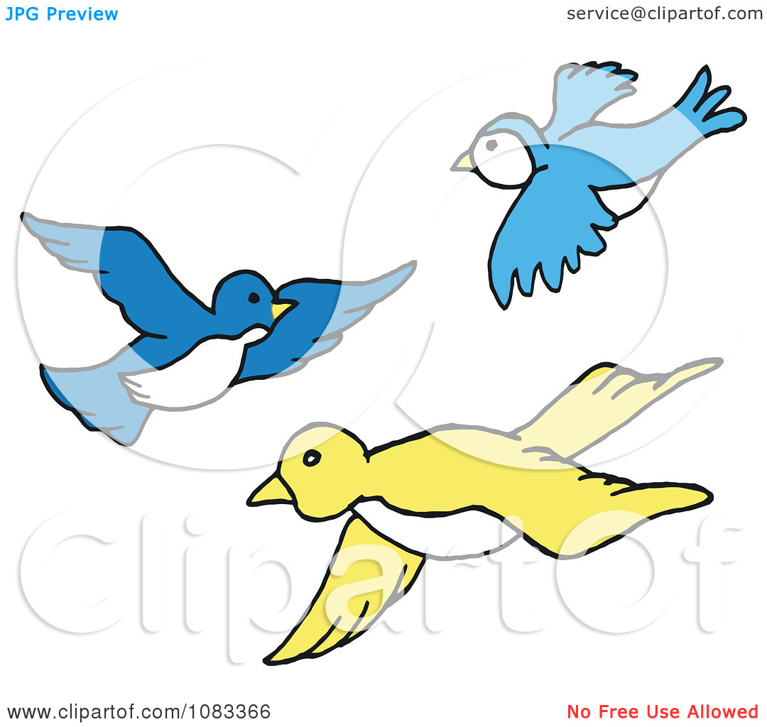 1080x1024 Brds Clipart Baaz 3097946