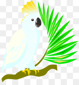 260x280 Budgerigar Cockatoo Free Content Clip Art