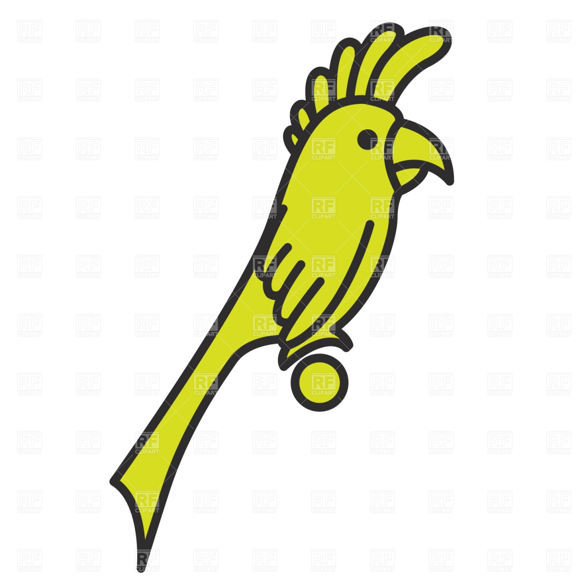 1200x1200 Cartoon Parrot