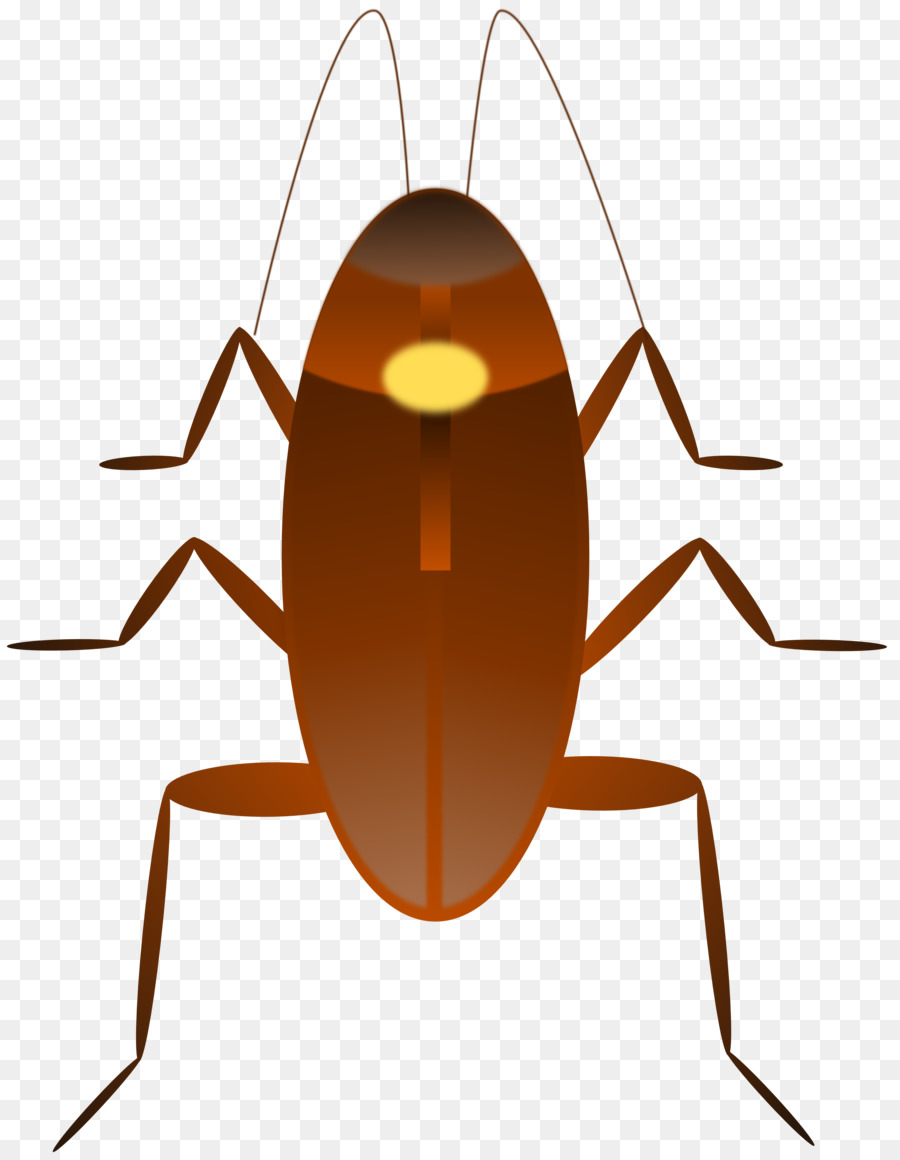 900x1160 Cockroach Free Content Clip Art