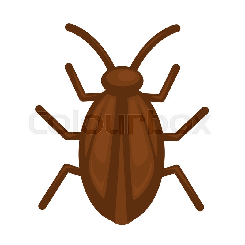 800x800 Bug Clipart Orange Things