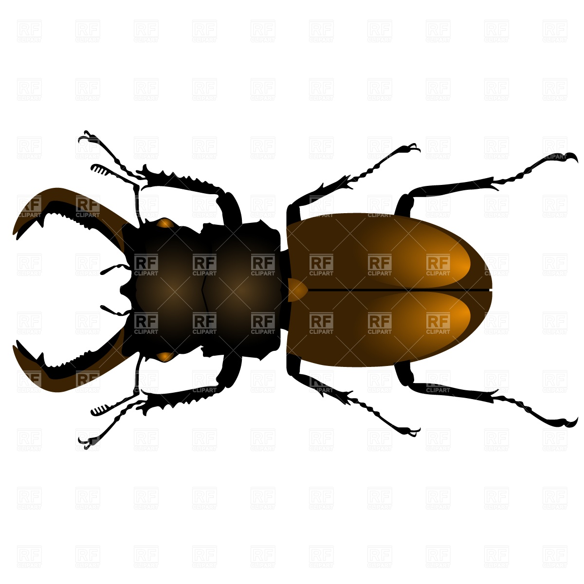1200x1200 Cartoon Cockroach Or Beetle With A Funny Mysterious Look Royalty