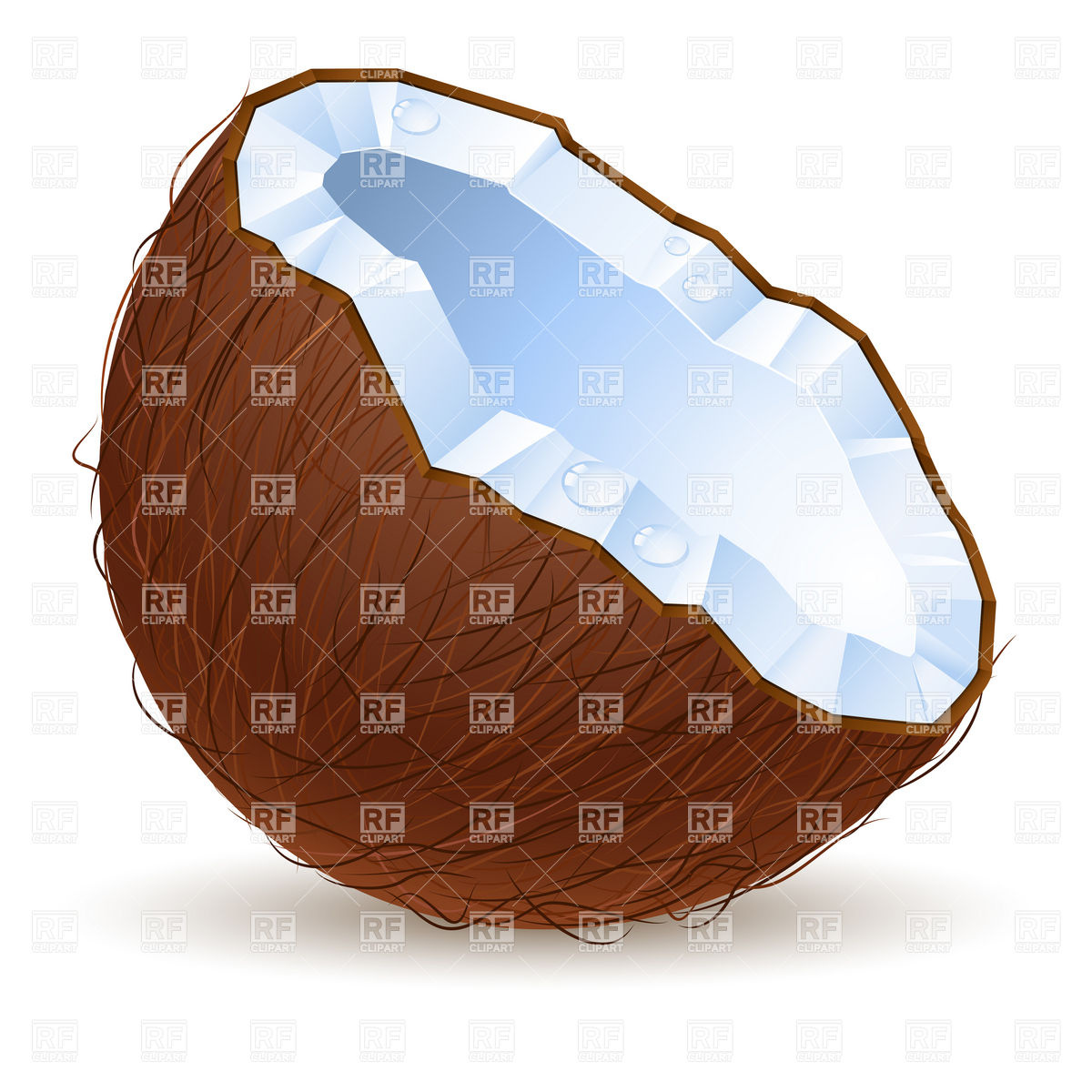 1200x1200 Half Of Broken In Two Coconut Royalty Free Vector Clip Art Image