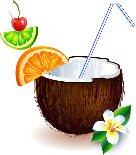 527x600 Drink Clipart Coconut Shell