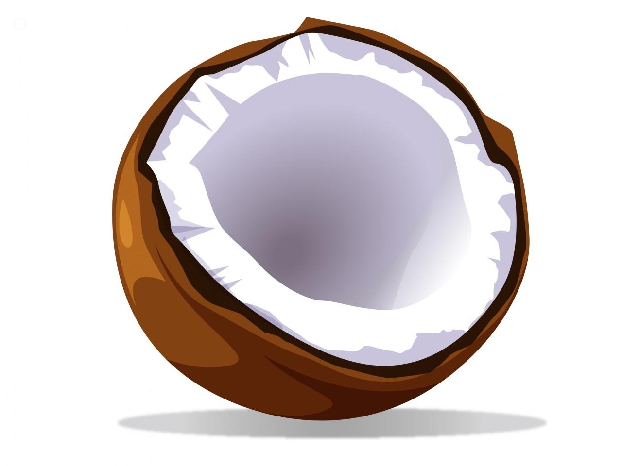 1280x960 New Coconut Clipart Design