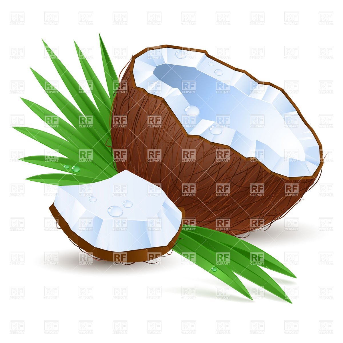 1200x1200 Broken Coconut Half With Milk Royalty Free Vector Clip Art Image