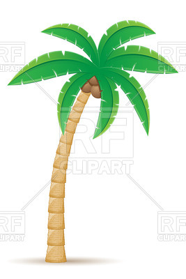 267x400 Tropical Coconut Palm Tree Isolated On White Background Vector