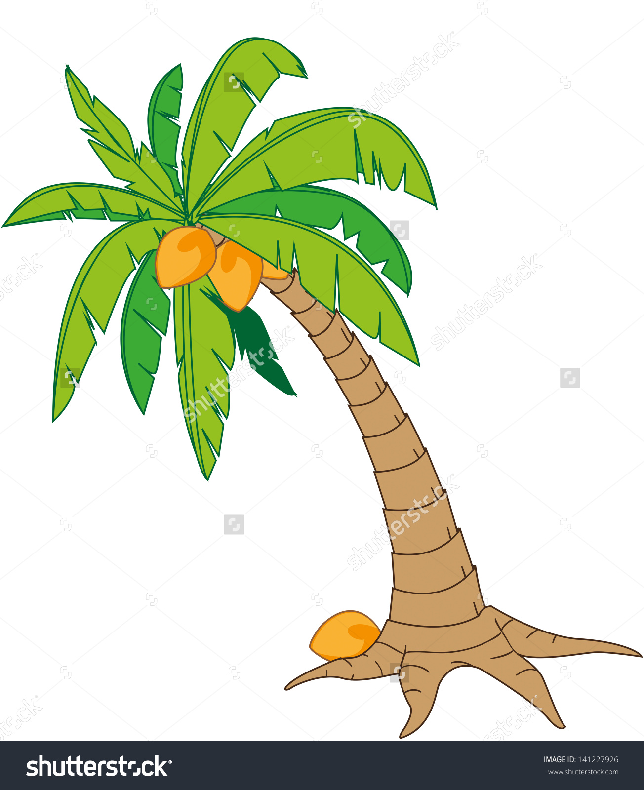1304x1600 Coconut Tree In Cartoon Style, Isolated On White
