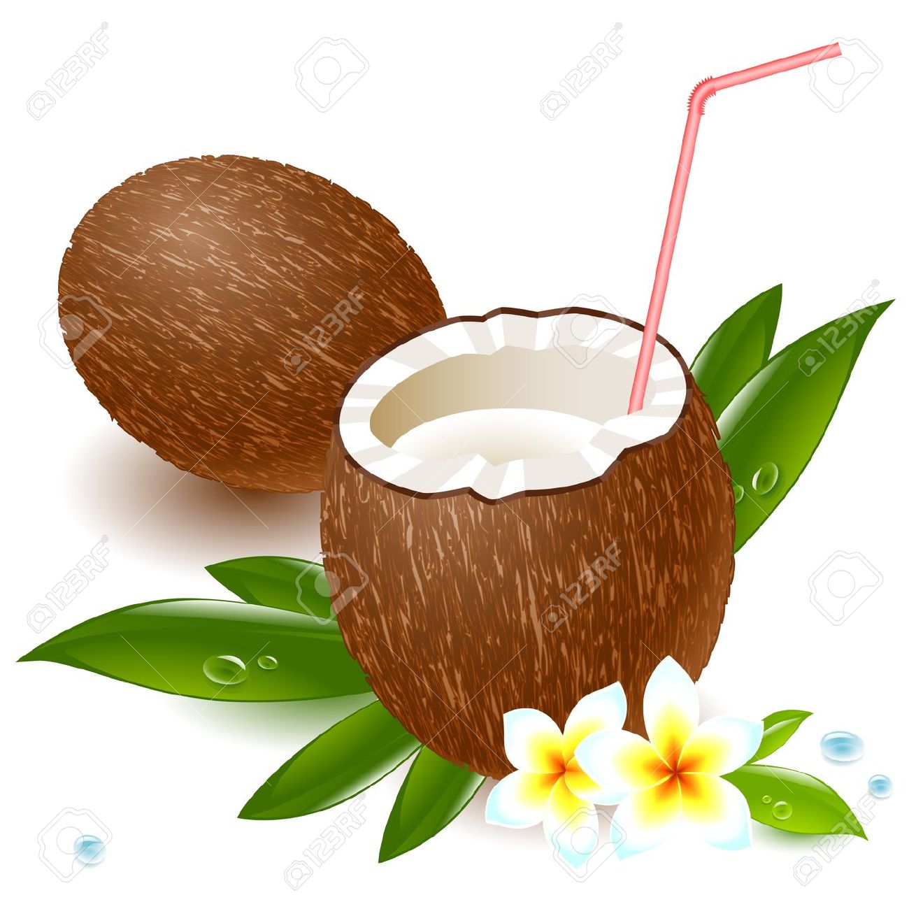 1300x1300 Coconut Clipart Beach Drink