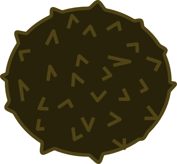 600x559 Coconut Fruit Clip Art Free Vector 4vector