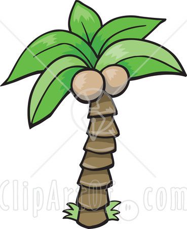 369x450 New Coconut Tree Clipart