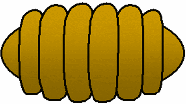 Cocoon Clipart