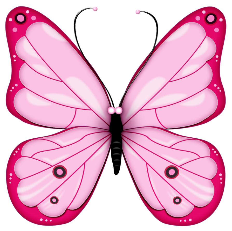 894x893 Butterfly One Clipart Amp Butterfly One Clip Art Images