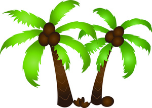 300x213 Clipart Coconut Tree