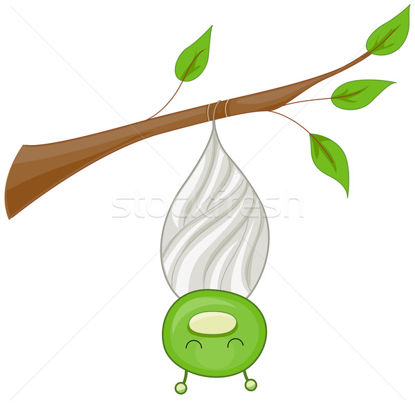 600x588 Cocoon Vector Illustration Lenm ( 491796) Stockfresh
