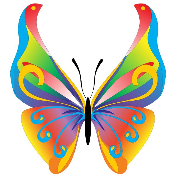 600x600 Free Butterfly Clip Art Floral Butterfly Free Vector Graphic