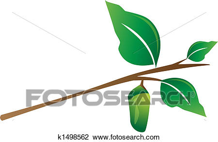 450x294 Cocoon Clipart Clipart Of Cocoon Hanging From Tree Branch K1498562