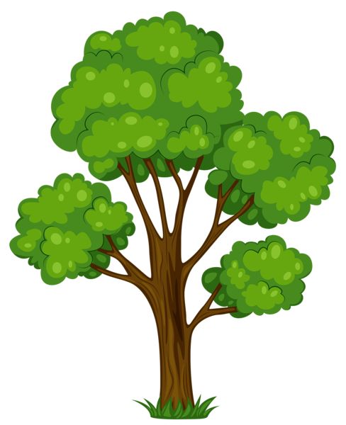 488x600 A Tree Clipart