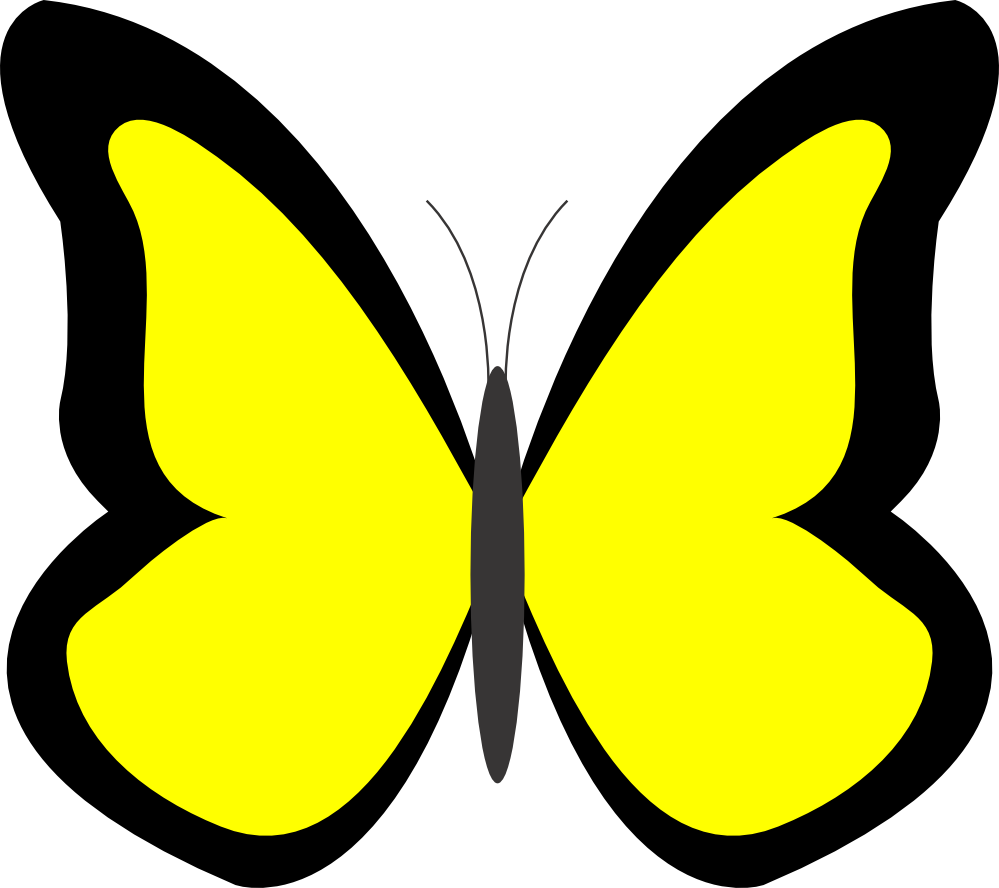 999x888 Butterfly Clipart For Kid