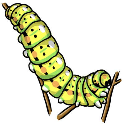 400x400 Butterfly Cocoon Clipart