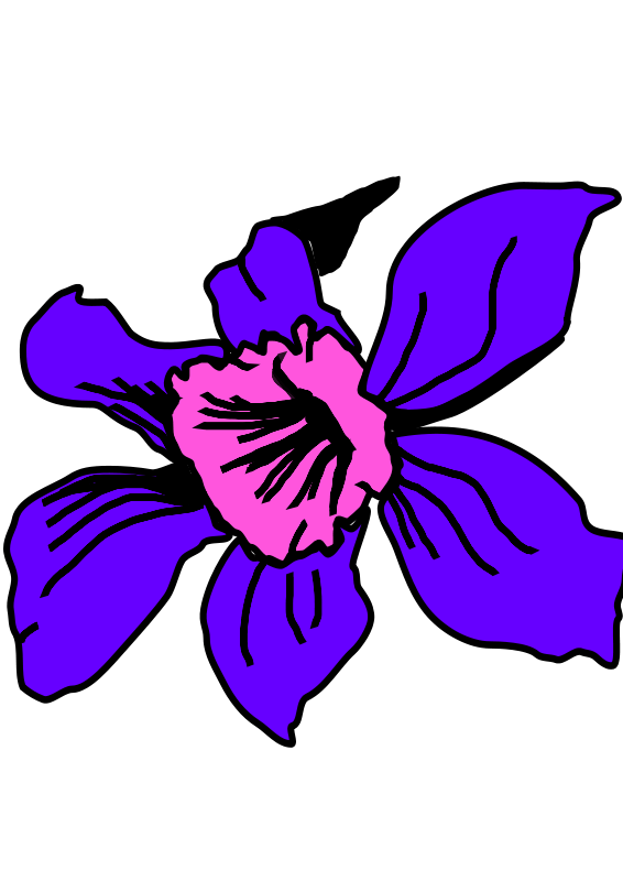 566x800 Free Clipart Orquidea Colombia Sarco