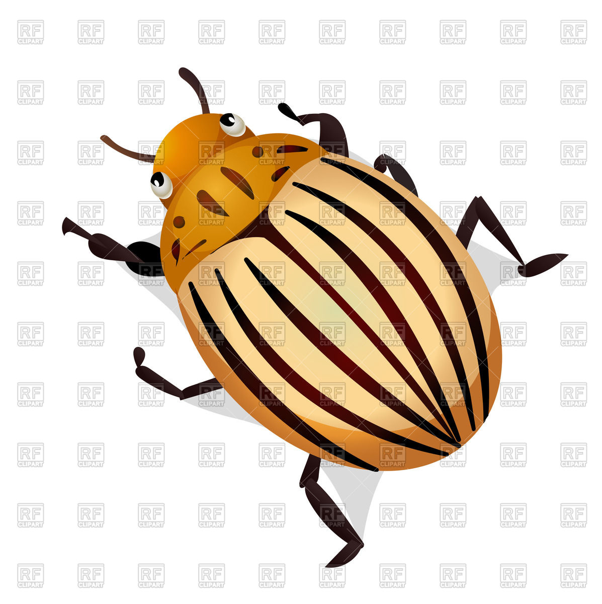 1197x1200 Colorado Potato Beetle Royalty Free Vector Clip Art Image