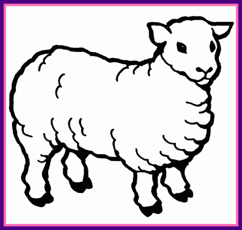 1010x960 Incredible Baby Farm Coloring Pages Kids With Animal Picture