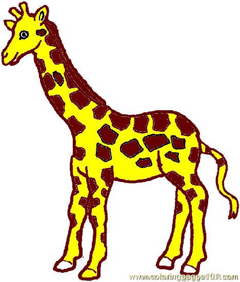 468x550 Printable Giraffe Pictures Perfect Printable Giraffe Pictures 95