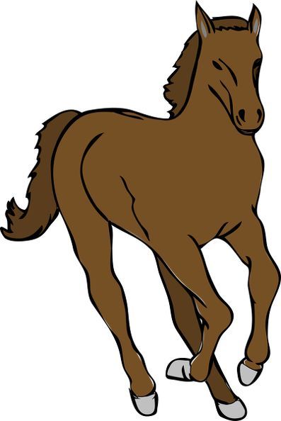 Colts Clipart at GetDrawings | Free download