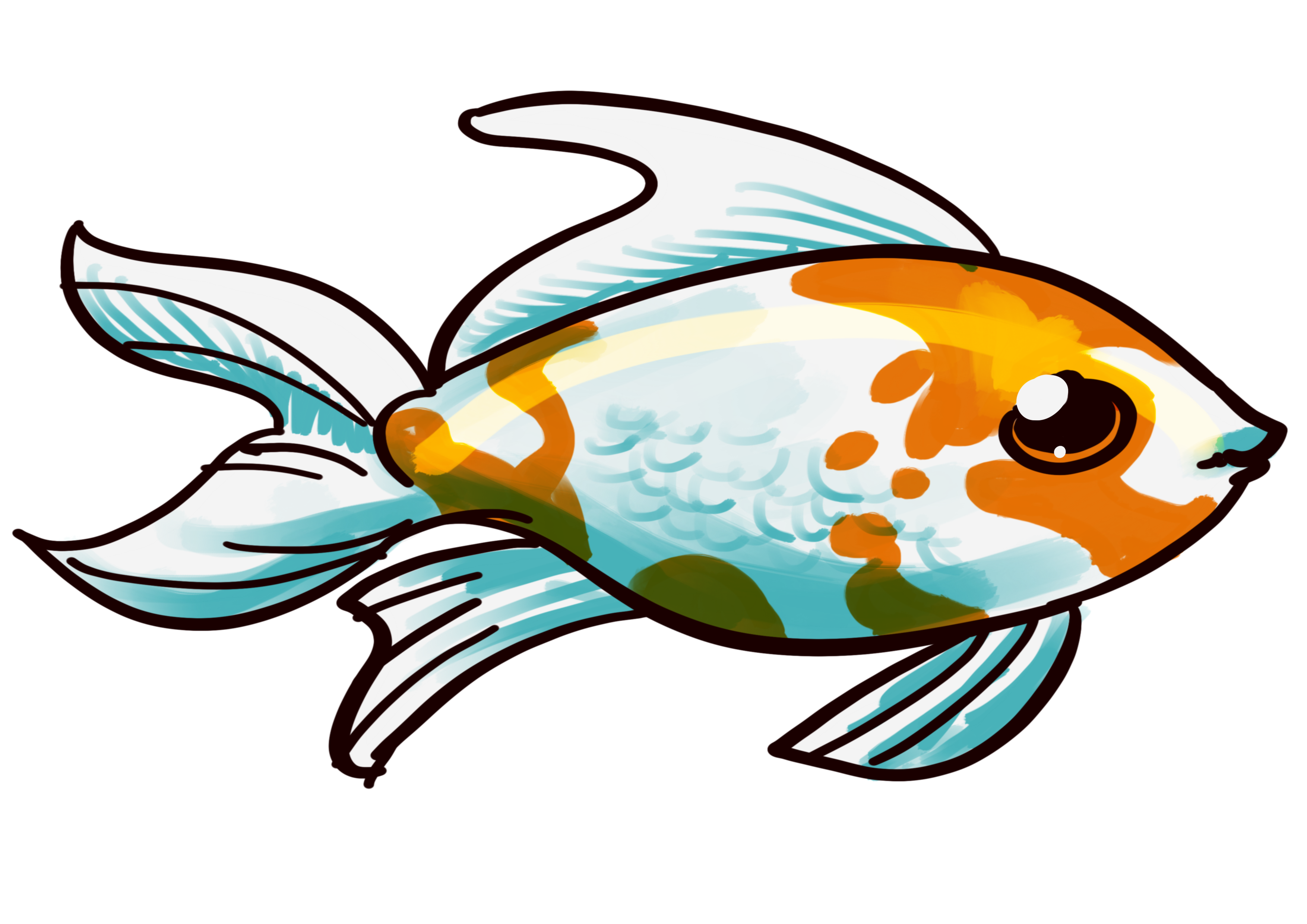 3508x2480 Comet Goldfish