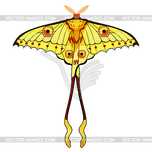 300x300 Comet Moth Clipart