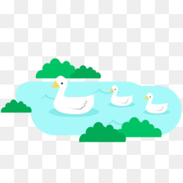 260x260 Common Loon Drawing Bird Duck Clip Art