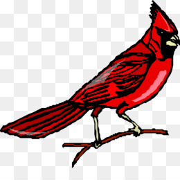 260x260 Flock Of Birds Png And Psd Free Download