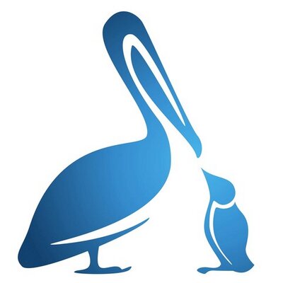 400x400 Int'L Bird Rescue On Twitter The Loons! Larger Common Loon