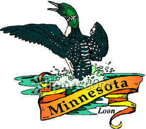 300x264 State Bird Of Minnesota, The Loon With A Gold Banner Royalty Free