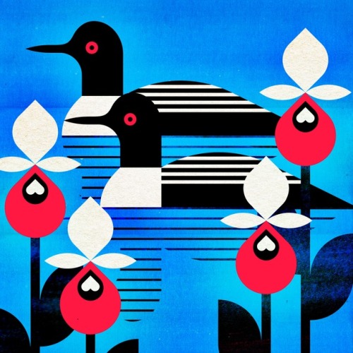 500x500 Loon Art Tumblr