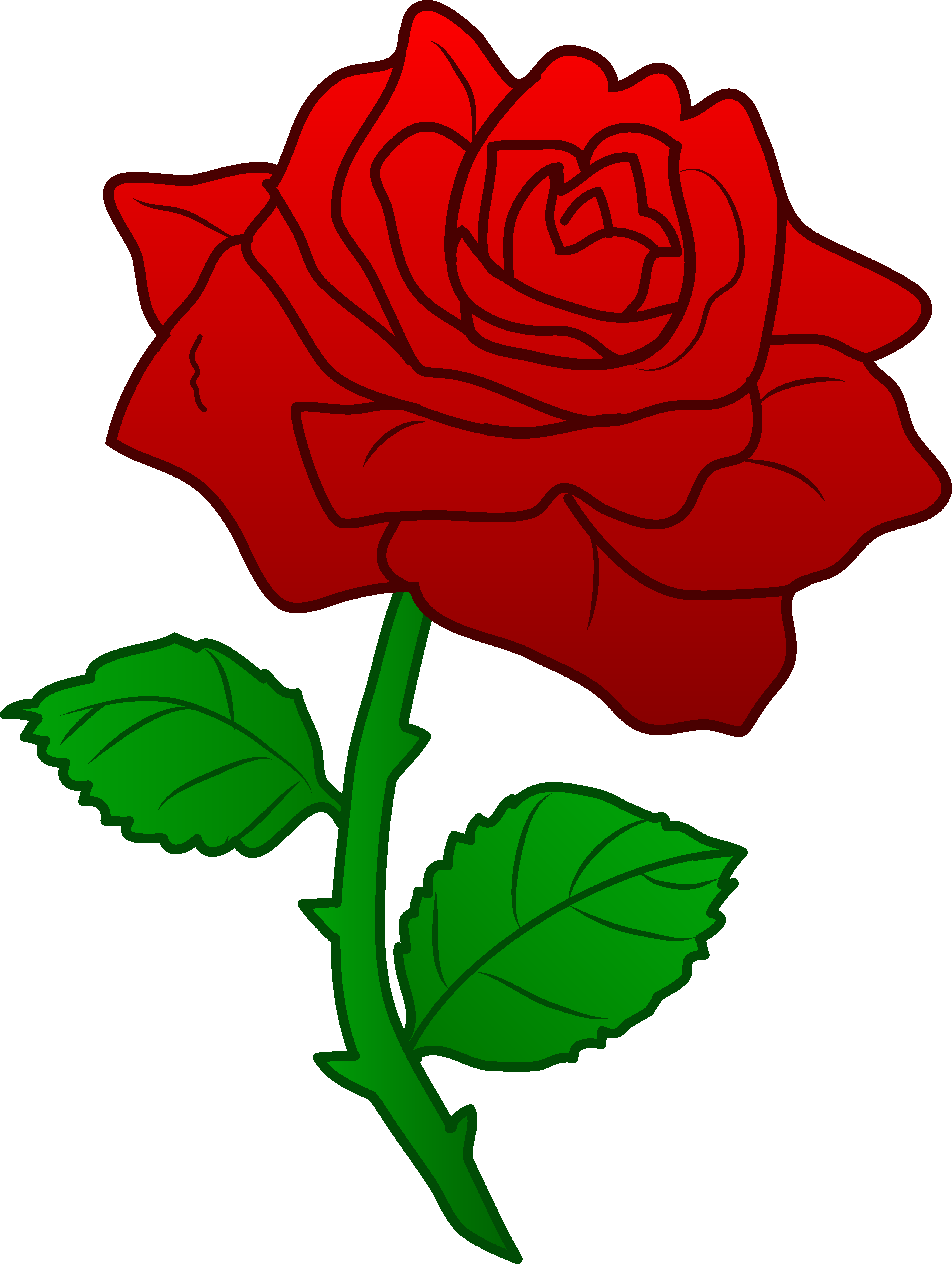 4481x5947 Rose Clipart Free