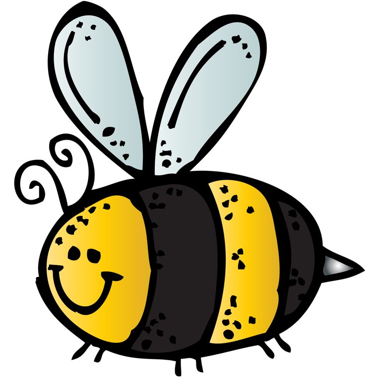 736x763 Bumblebee Clipart Bug